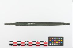 Foto von Bronzeraspel (NHMW-PRAE-023825)